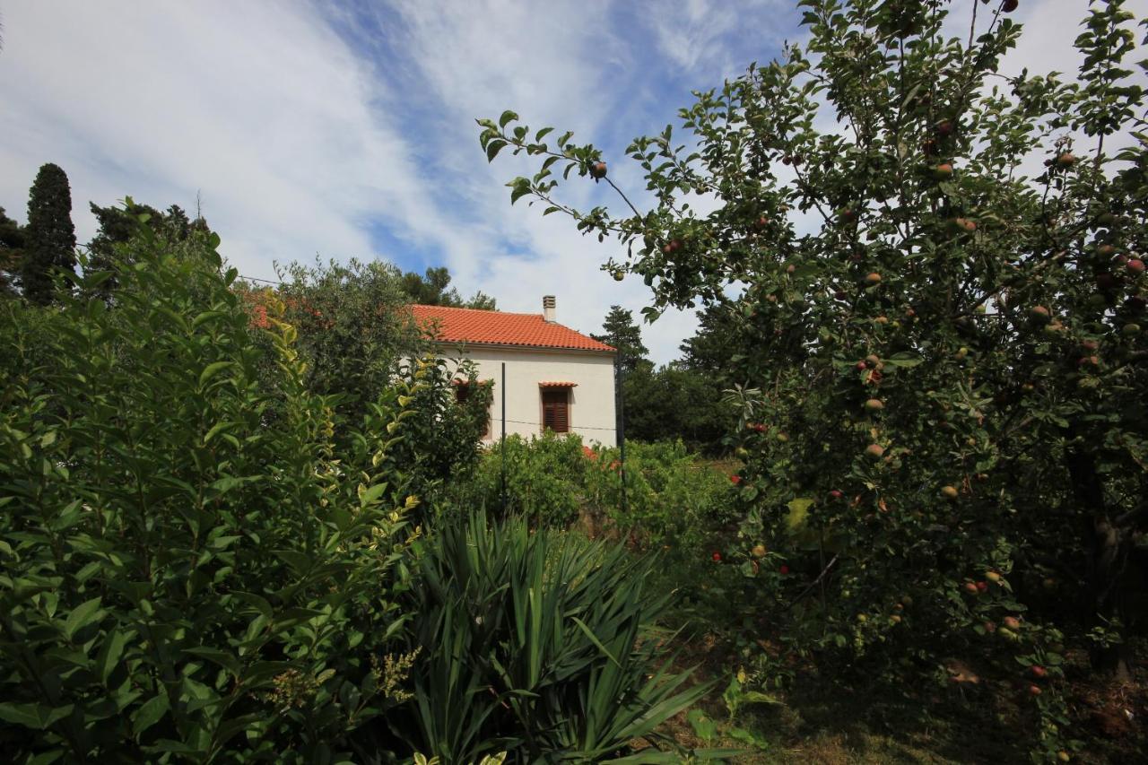 Apartments With A Parking Space Veli Losinj, Losinj - 8029 ภายนอก รูปภาพ